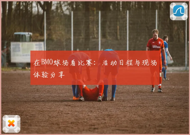 在BMO球场看比赛：活动日程与现场体验分享